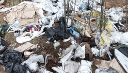 В Заречном парке увеличивается куча мусора
