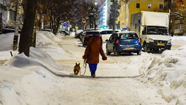 В Кирове появятся места для выгула собак