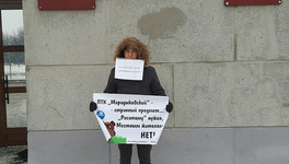 Багир Шарифов вышел с одиночным пикетом против «Марадыковского» к зданию правительства Кировской области