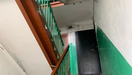 В Госдуму внесли законопроект о контроле над разведением домашних животных