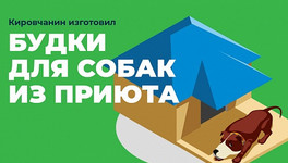 Кировчанин изготовит будки для собак из приюта