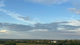 Принимают заявки на проект «Школа фермера» для поддержки агробизнеса