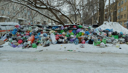 На устранение мусорного коллапса властям Кировской области дали срок до конца января