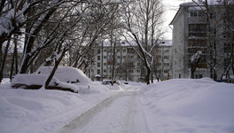 Соколов: управляющие компании не справляются со снегом, нужны экстренные меры