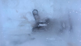 Соцсети: в стене ледового городка на Театралке нашли замёрзшую утку