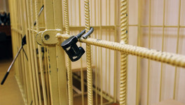 Многодетная мать из Кирова осуждена за убийство и кражу