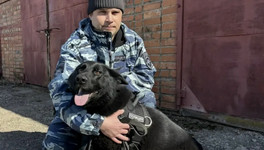 Кинолог с собакой раскрыл кражу в Кирово-Чепецке по горячим следам
