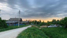 Биолог рассказал, куда комары кусают в первую очередь