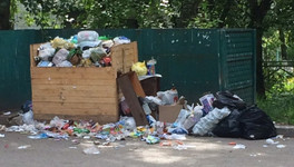 ОНФ: регоператор отказывается делать перерасчёт за невывезенный мусор