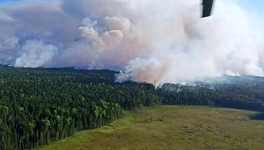 Кировские пожарные потушили лесные пожары в Томской области