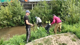 В Метрограде убрали стихийную свалку