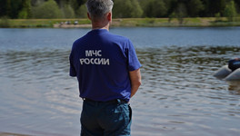 В Кировской области за сутки не зарегистрировали ни одного лесного пожара