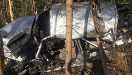 В Верхошижемском районе в ДТП погибли 18-летний водитель и подросток