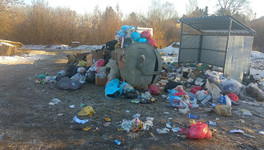 На содержание контейнерных площадок в Первомайском районе Кирова потратят 2,4 миллиона рублей