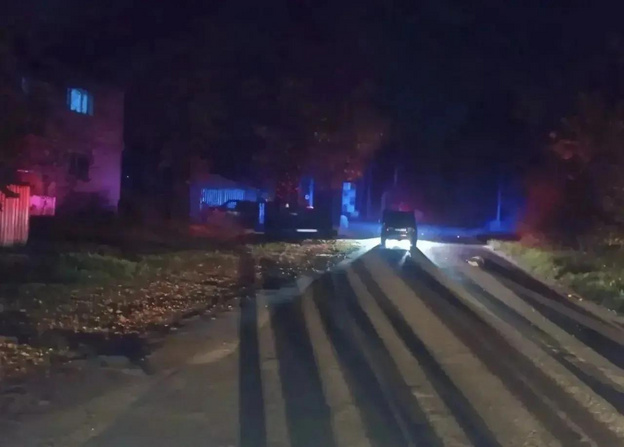 В Туже пьяный водитель насмерть сбил пешехода