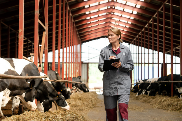 Куда пойти по целевому: 5 профессий для успешного старта