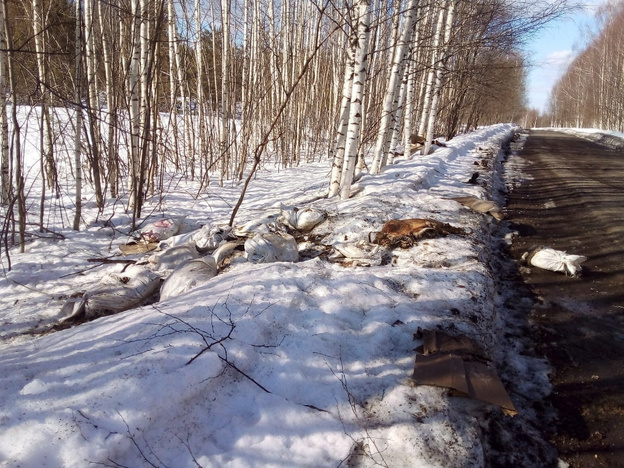 В Верхошижемском районе местные жители обнаружили останки животных на обочине дороги