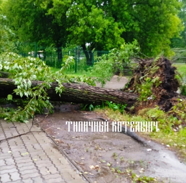 Поваленные деревья, помятые автомобили. Последствия непогоды в Кировской области. Фото