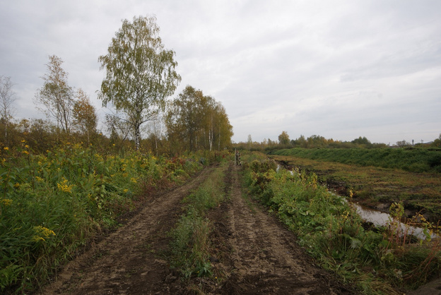 На улице Торфяной провели археологические раскопки