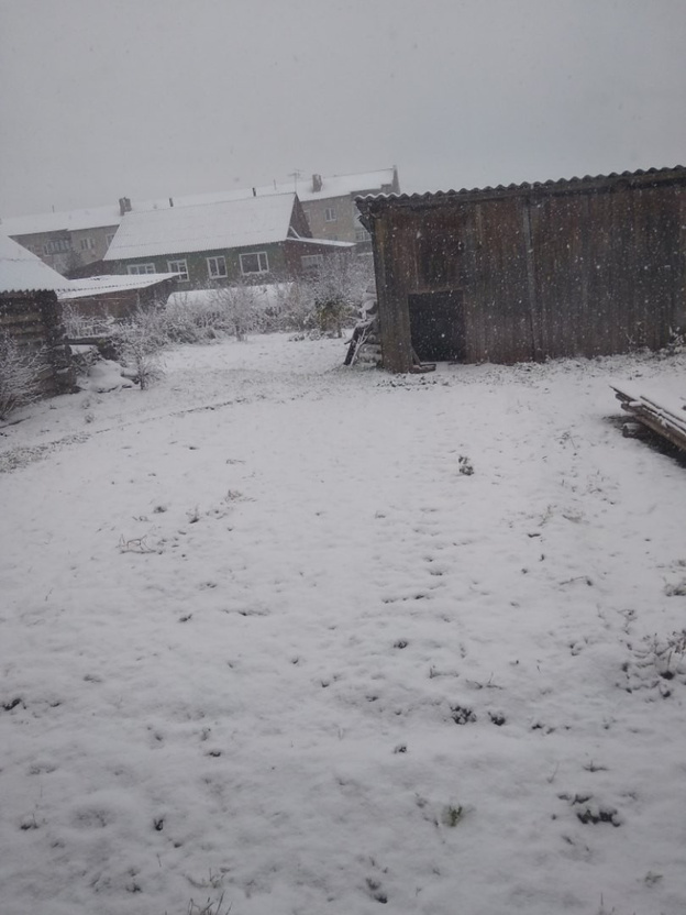 В белом плену: районы области заметает снегом