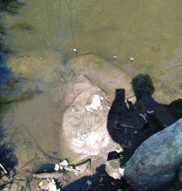 Неизвестные завалили мусором реку Чахловицу и изменили её русло