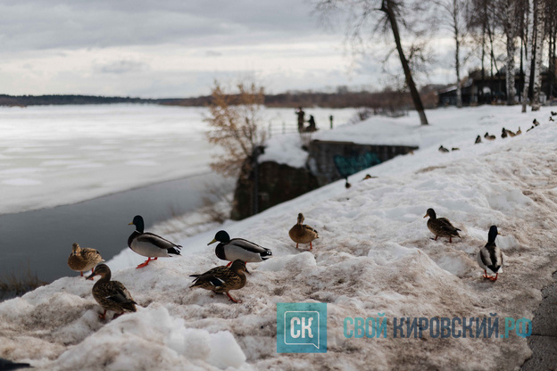 Как выглядит Киров в аномально тёплом марте. Фоторепортаж