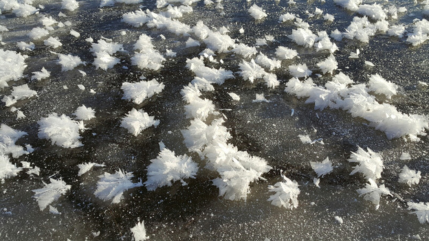 Водоемы в Кировской области покрылись ледяными цветами