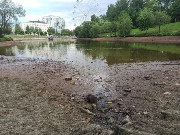История пруда в парке имени Кирова в фотографиях