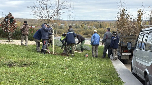 На набережной Грина в Кирове высадят 25 деревьев