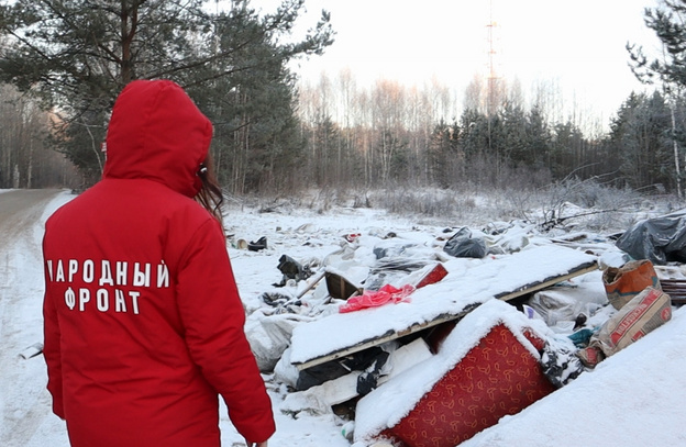 Покрышки, сантехника и мебель. Неизвестные организовали незаконную свалку в Мурыгино