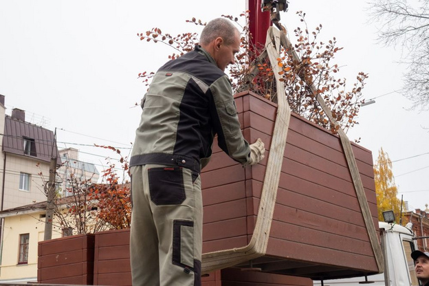 Кировское озеленение убирают на зимовку