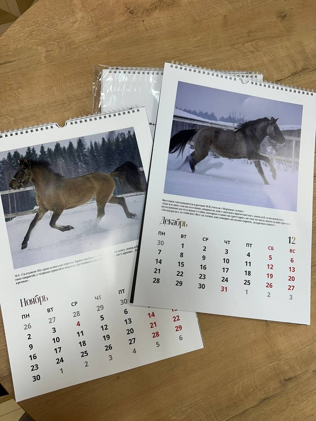 Никита Белых призвал помочь развитию бренда «Вятская лошадка»