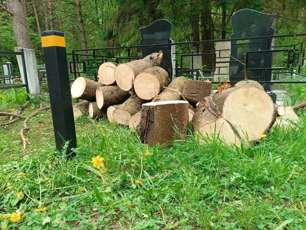 На Ново-Макарьевском кладбище сменится подрядчик из-за плохой работы