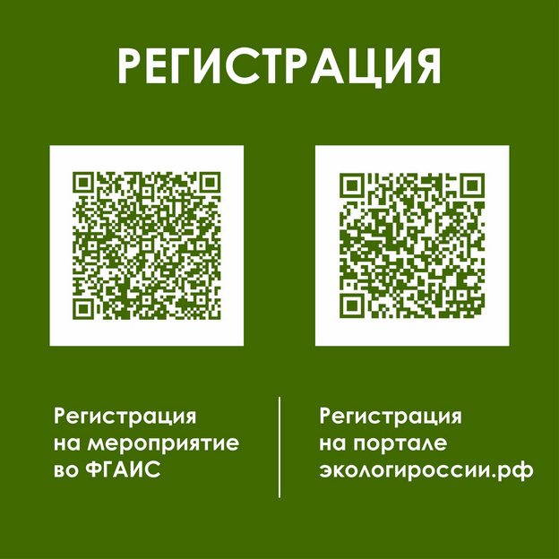 25 апреля в Кирове состоится флагманский субботник движения «Экосистема»