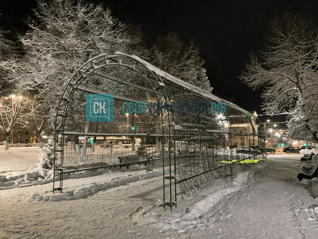 На Театральной площади устанавливают новогоднюю ёлку. Фото