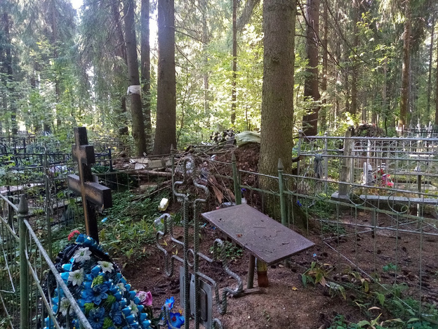Горы веток и мусора прямо на могилах: кировчане пожаловались на беспорядок на Филейском кладбище