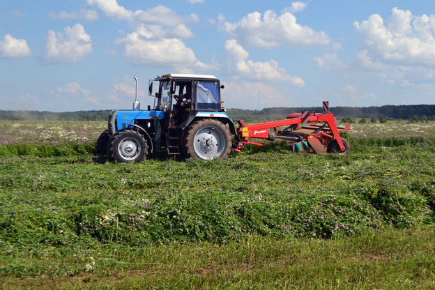 В Уржумском агропромышленном холдинге рассказали об итогах работы за 2022 год и о ближайших планах