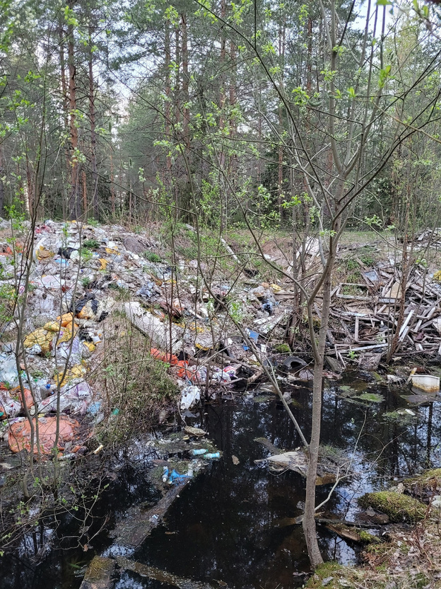 Кировчане просят ликвидировать свалку в лесу у деревни Малая Субботиха