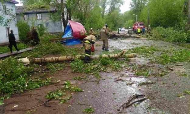 В Вересниках во время урагана дерево раздавило остановку: есть пострадавшие