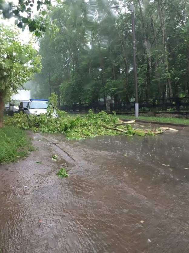 Во время грозы в Кирове дерево упало на мужчину, ветер сорвал крышу остановки. Фото и видео из соцсетей