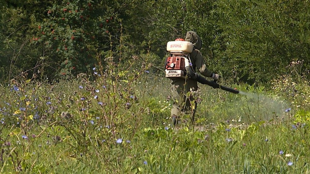 В Октябрьском районе Кирова ведут «химическую атаку»
