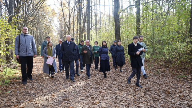 Команда движения «Экосистема» представила концепцию восстановления Дендропарка
