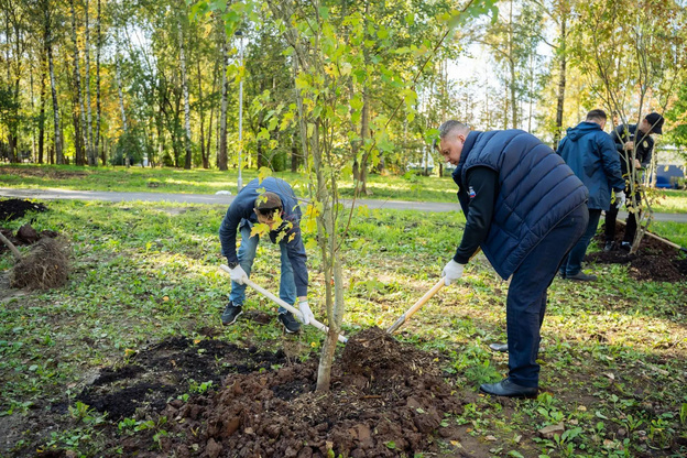 В парке Победы в Кирове высадят 180 деревьев