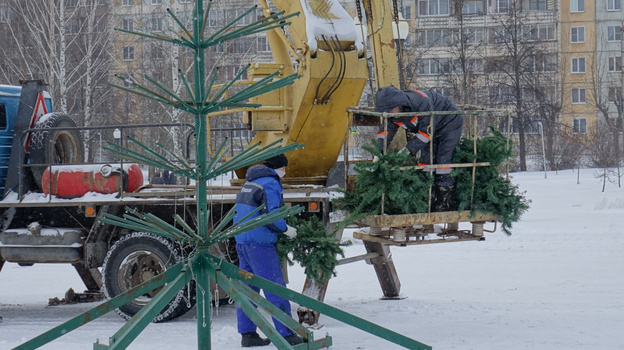 В Кочуровском парке установят ель и подсветку за 430 тысяч рублей