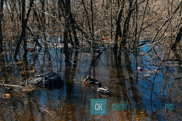 Весеннее половодье в Кирове 2026. Фото