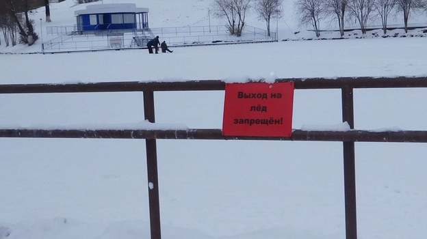 На пруду у цирка в Кирове заметили рыбаков-экстремалов