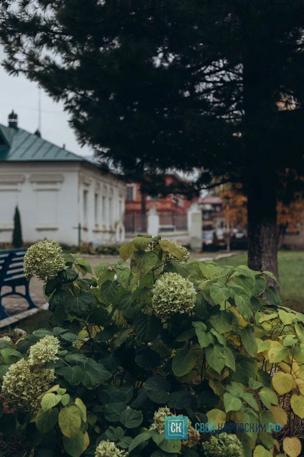 Золотая осень в Слободском. Фотолента