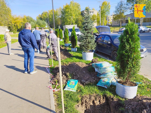 В Кирово-Чепецке появилась новая аллея из елей и туй