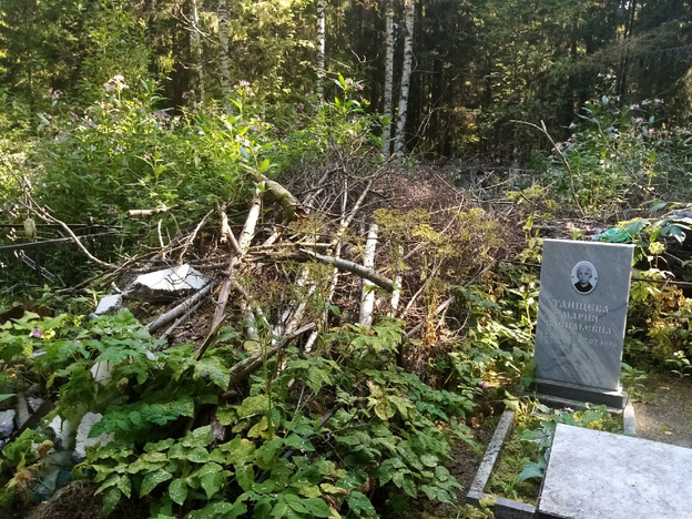 Горы веток и мусора прямо на могилах: кировчане пожаловались на беспорядок на Филейском кладбище