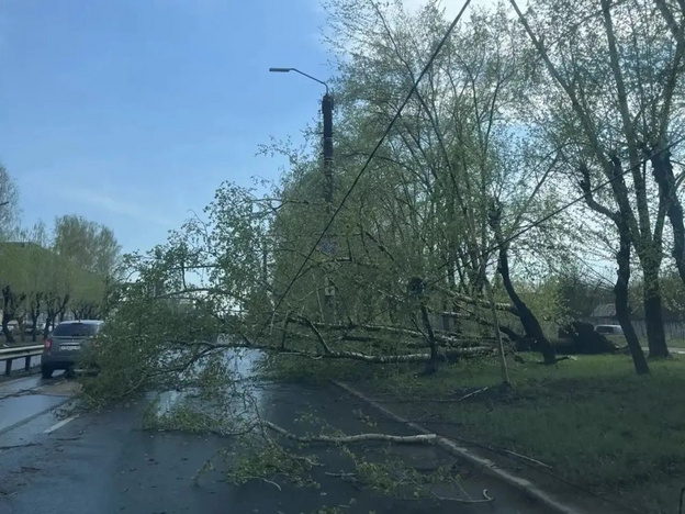 В Кирове из-за сильного ветра упал арт-объект